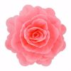 Obrazek RÓŻA CHIŃSKA RÓŻOWA 320415 ROSE DECOR