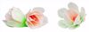 Obrazek MAGNOLIA BIAŁA WA500106 ROSE DECOR