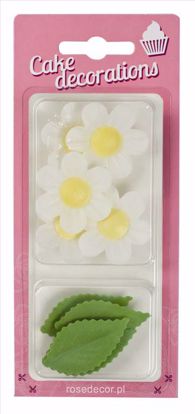 Obrazek ZESTAW KWIATKÓW W BLISTRZE NIEZAPOMINAJKI BIAŁE 240003 ROSE DECOR 