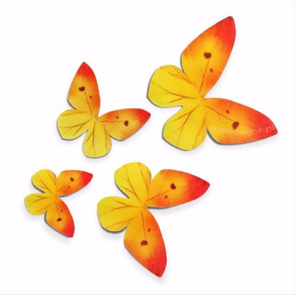 Obrazek MOTYLE WAFLOWE ŻÓŁTE 400587 ROSE DECOR 