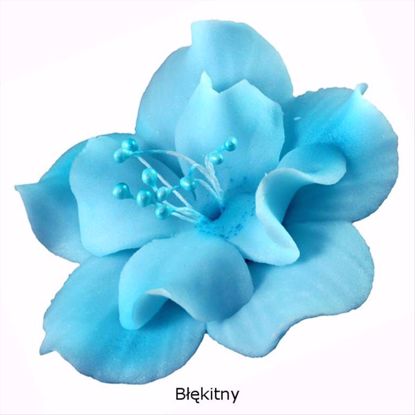 Obrazek DEKORACJA CUKROWA KWIAT MAGNOLIA NIEBIESKA K04M OP.10SZT. MAGMART