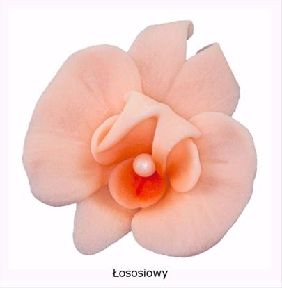 Obrazek DEKORACJA CUKROWA KWIAT CYMBIDIUM ŁOSOŚ K055 OP.10SZT MAGMART