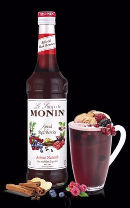 Obrazek Syrop SPICE RED BERRIES 0,7l. 908128 MONIN
