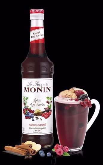 Obrazek Syrop SPICE RED BERRIES 0,7l. 908128 MONIN