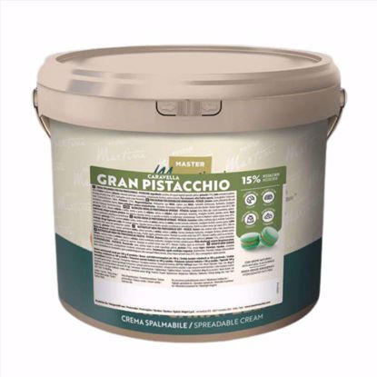 Obrazek KREM PISTACJOWY CARAVELLA GRAN PISTACCHIO AX52GY 13KG. MASTER MARTINI