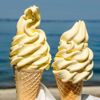 Obrazek LODY WANILIOWO - ŚMIETANKOWE DELUX OP. 2,5KG SORENO MIESZANKA DO LODÓW