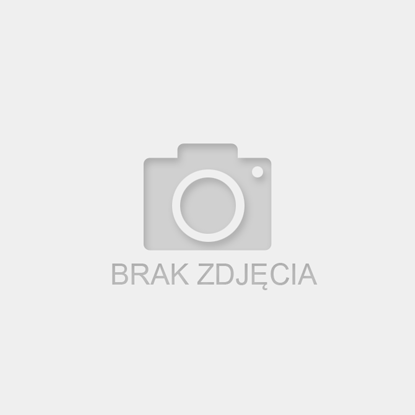 Obrazek ŚWIECZKA CYFERKA "1" SREBRNA METALIK  PF-SCS1 GODAN